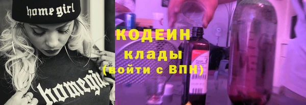 скорость Лагань