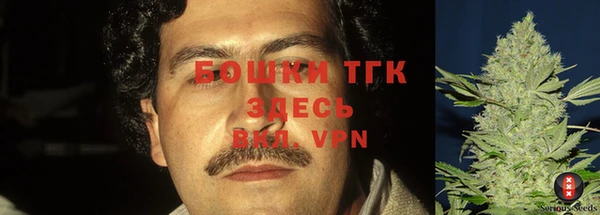 спиды Ладушкин