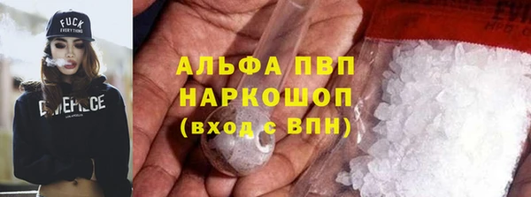 спиды Ладушкин