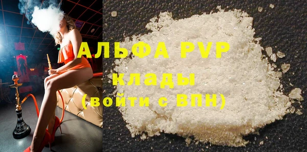 спиды Ладушкин