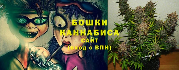 спиды Ладушкин