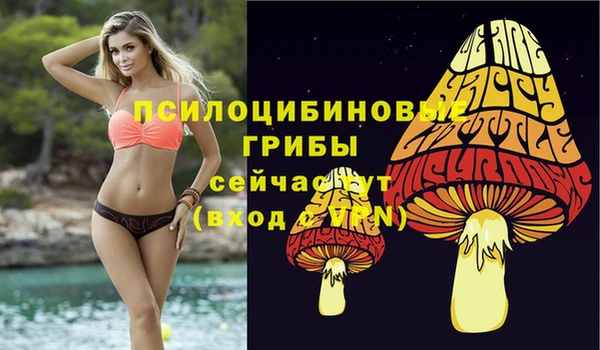 спиды Ладушкин